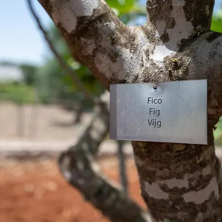 Borgo Marianna סן ויטו דיי נורמני